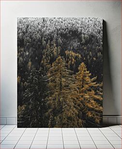Πίνακας, Snow-capped Forest Χιονισμένο Δάσος