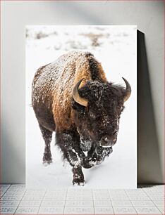 Πίνακας, Snow-Covered Bison Χιονισμένος Βίσωνας
