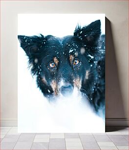 Πίνακας, Snow-Covered Dog in Winter Χιονισμένος σκύλος τον χειμώνα