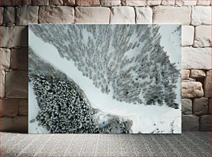 Πίνακας, Snow-Covered Forest Aerial View Χιονισμένο Δάσος Αεροφωτογραφία
