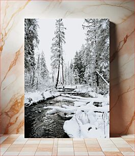 Πίνακας, Snow-Covered Forest Stream Χιονισμένο Δασικό Ρεύμα