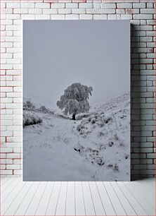 Πίνακας, Snow-Covered Landscape with Lone Tree Χιονισμένο τοπίο με μοναχικό δέντρο
