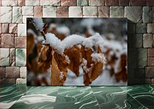 Πίνακας, Snow-Covered Leaves Χιονισμένα Φύλλα