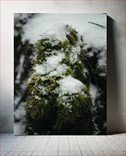 Πίνακας, Snow-covered Moss Χιονισμένα βρύα