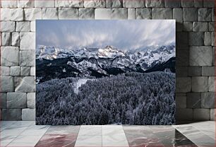 Πίνακας, Snow-covered Mountains and Forest Χιονισμένα βουνά και δάσος