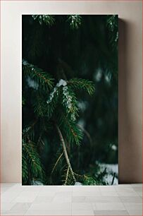Πίνακας, Snow-covered Pine Branches Χιονισμένα κλαδιά πεύκου