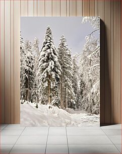 Πίνακας, Snow Covered Pine Forest Χιονισμένο πευκοδάσος