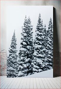 Πίνακας, Snow-covered Pine Trees Χιονισμένα πεύκα
