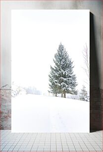 Πίνακας, Snow Covered Pines Χιονισμένα πεύκα