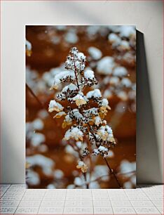 Πίνακας, Snow Covered Plant Χιονισμένο φυτό