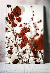 Πίνακας, Snow-covered Red Berries Χιονισμένα κόκκινα μούρα