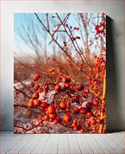 Πίνακας, Snow-Covered Red Berries on Tree Branch Χιονισμένα κόκκινα μούρα σε κλαδί δέντρου