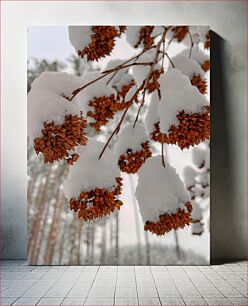 Πίνακας, Snow-Covered Seeds Χιονισμένοι σπόροι