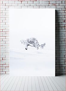 Πίνακας, Snow-Covered Tree in Winter Χιονισμένο δέντρο το χειμώνα