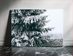 Πίνακας, Snow Covered Tree Χιονισμένο δέντρο