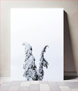 Πίνακας, Snow-Covered Trees Against Winter Sky Χιονισμένα δέντρα στον ουρανό του χειμώνα