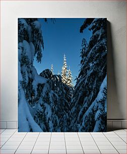 Πίνακας, Snow-Covered Trees at Dawn Χιονισμένα Δέντρα την Αυγή
