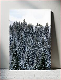 Πίνακας, Snow-Covered Trees in Winter Landscape Χιονισμένα δέντρα σε χειμερινό τοπίο