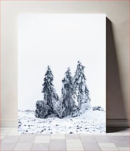 Πίνακας, Snow-Covered Trees in Winter Χιονισμένα δέντρα το χειμώνα