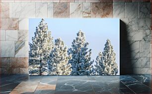 Πίνακας, Snow-Covered Trees Χιονισμένα Δέντρα