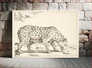 Πίνακας, Snow leopard by Marcus de Bye