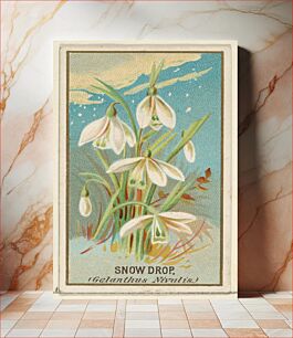 Πίνακας, Snowdrop (Galanthus Nivalis), from the Flowers series for Old Judge Cigarettes