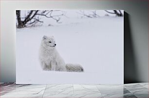 Πίνακας, Snowy Arctic Fox Snowy Arctic Fox