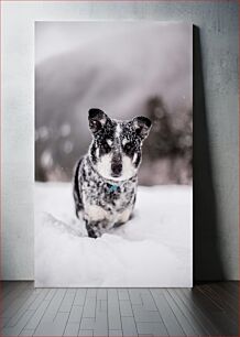 Πίνακας, Snowy Dog in Winter Landscape Χιονισμένος σκύλος στο χειμερινό τοπίο