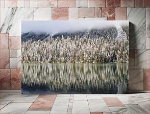 Πίνακας, Snowy Forest and Lake Reflection Χιονισμένο δάσος και αντανάκλαση λίμνης