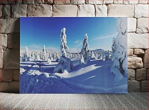 Πίνακας, Snowy Forest Landscape Χιονισμένο Δασικό Τοπίο