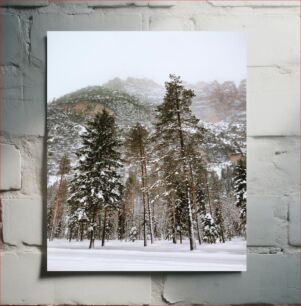 Πίνακας, Snowy Forest Mountain Snowy Forest Mountain