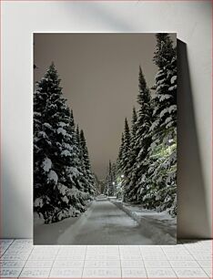 Πίνακας, Snowy Forest Path at Night Χιονισμένο δασικό μονοπάτι τη νύχτα