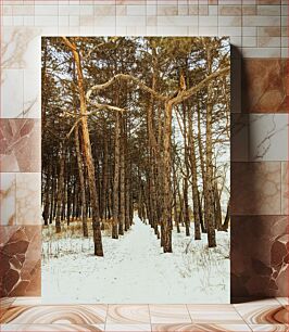Πίνακας, Snowy Forest Path Χιονισμένο Δασικό Μονοπάτι