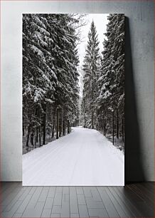 Πίνακας, Snowy Forest Path Χιονισμένο Δασικό Μονοπάτι