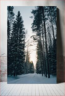 Πίνακας, Snowy Forest Path Χιονισμένο δασικό μονοπάτι