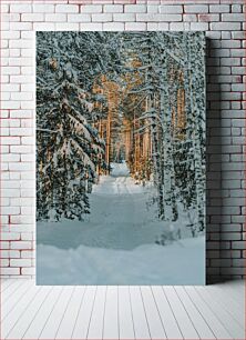 Πίνακας, Snowy Forest Path Χιονισμένο Δασικό Μονοπάτι