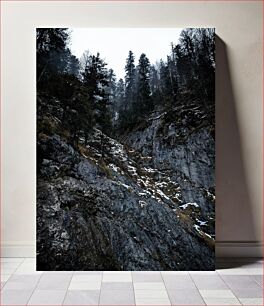 Πίνακας, Snowy Forested Mountainside Χιονισμένη δασωμένη βουνοπλαγιά