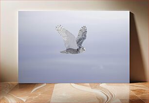 Πίνακας, Snowy Owl in Flight Χιονισμένη κουκουβάγια σε πτήση