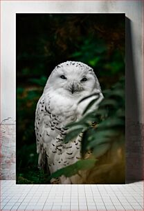 Πίνακας, Snowy Owl in Foliage Χιονισμένη κουκουβάγια στο φύλλωμα