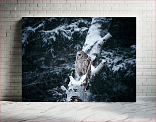 Πίνακας, Snowy Owl in Winter Forest Χιονισμένη κουκουβάγια στο χειμερινό δάσος