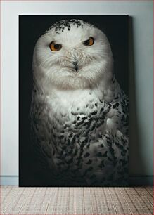 Πίνακας, Snowy Owl Portrait Πορτραίτο Snowy Owl