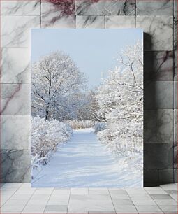 Πίνακας, Snowy Path in Winter Χιονισμένο μονοπάτι το χειμώνα