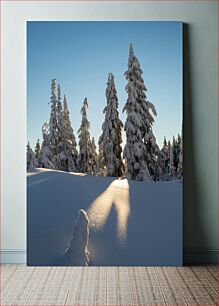 Πίνακας, Snowy Trees at Sunrise Χιονισμένα δέντρα στην ανατολή του ηλίου