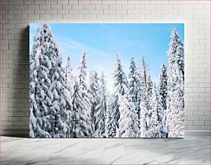Πίνακας, Snowy Trees in Winter Χιονισμένα δέντρα το χειμώνα