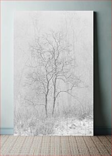 Πίνακας, Snowy Trees Χιονισμένα Δέντρα