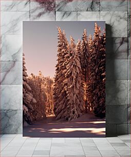 Πίνακας, Snowy Winter Forest Χιονισμένο Χειμωνιάτικο Δάσος
