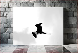 Πίνακας, Soaring Bird in Black and White Πουλί στα ύψη σε ασπρόμαυρο