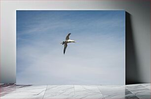 Πίνακας, Soaring Bird in the Sky Πουλί στα ύψη στον ουρανό