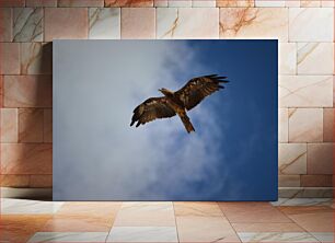 Πίνακας, Soaring Eagle in Blue Sky Πετώντας αετός στο γαλάζιο του ουρανού