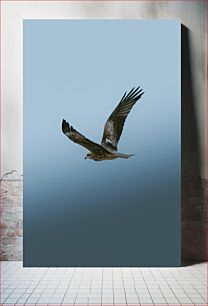 Πίνακας, Soaring Hawk in Clear Sky Πετώντας γεράκι στον καθαρό ουρανό